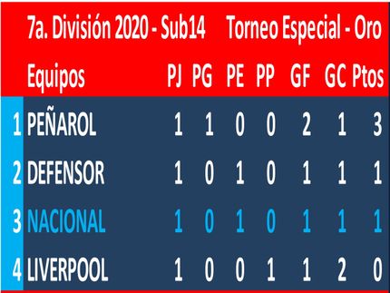 Torneo Especial inconcluso por COVID